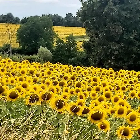 Liberte Saint-Bonnet-Tronçais