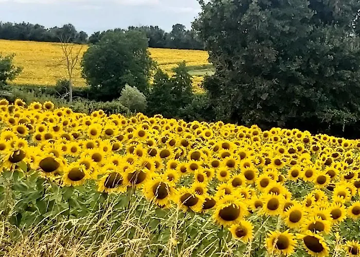 Liberte Saint-Bonnet-Troncais