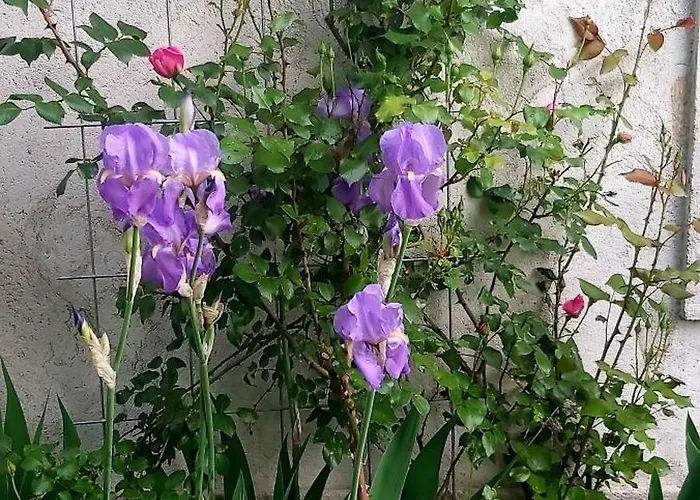 Liberte Дом отдыха *